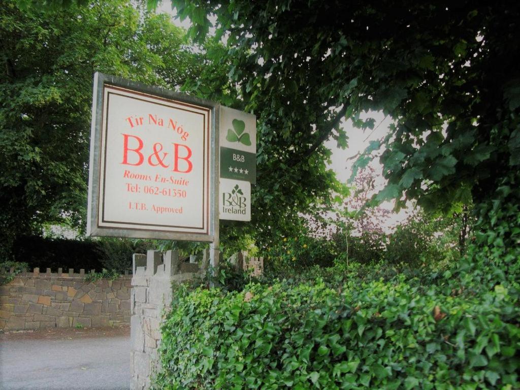 Tir Na Nog B&B Cashel (Tipperary) Exterior foto