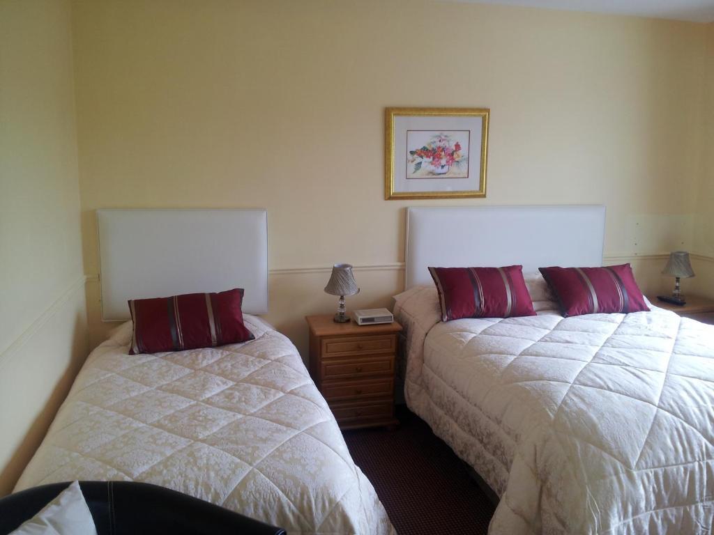 Tir Na Nog B&B Cashel (Tipperary) Exterior foto